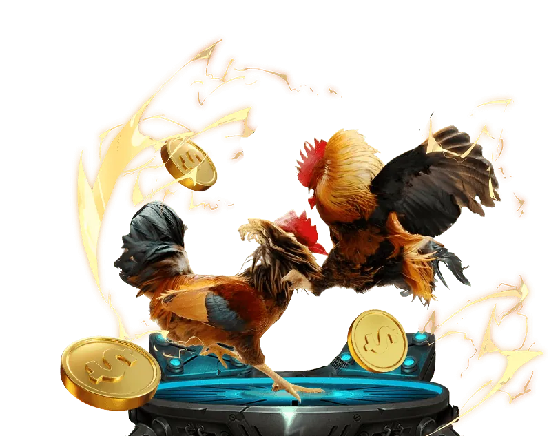 Chấp nhận điều khoản dịch vụ EX88 Nhà Cái